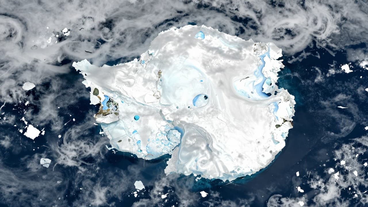 View of Antarctic sea ice