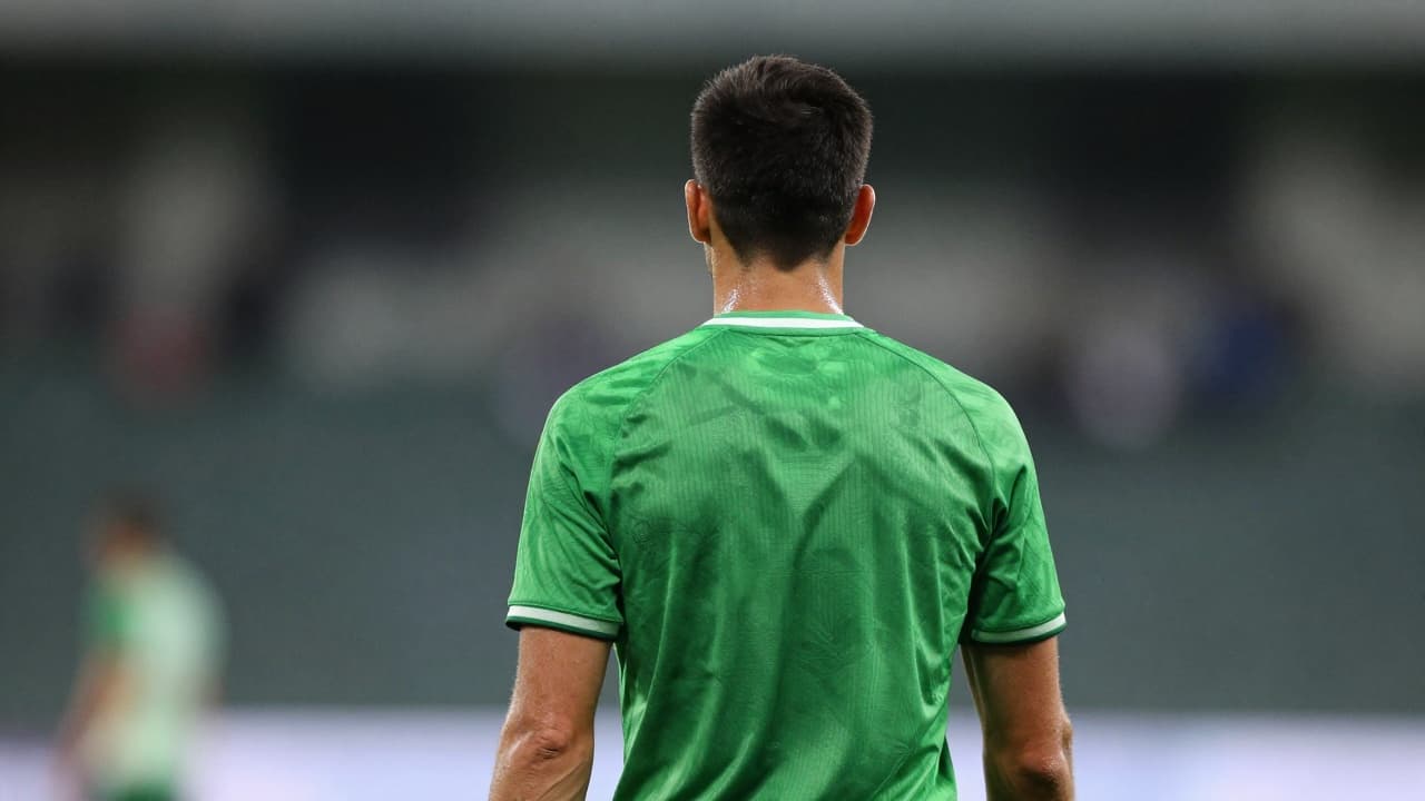 Irish player in green kit