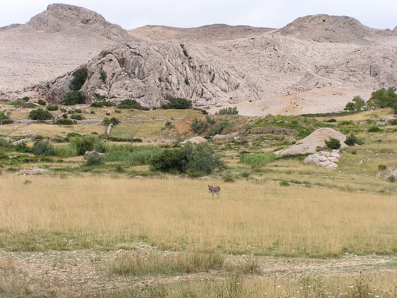 Pag